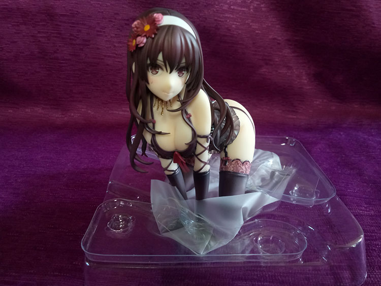 utaha kasumigaoka lingerie version alter blister packaging removed